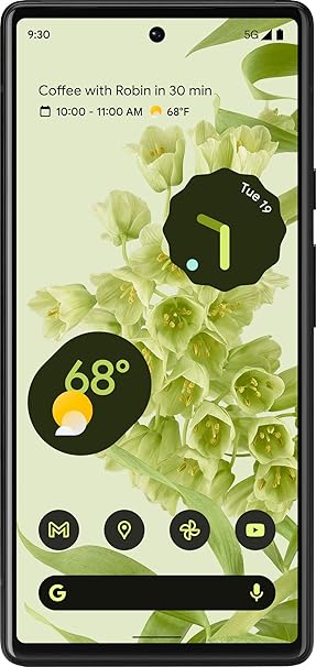71pmLVXcXgL._AC_SY606_ Google Pixel 6